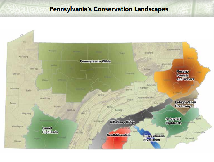Advancing Landscape-scale Collaboration in Pennsylvania