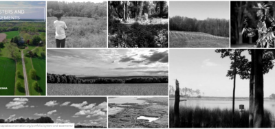 Launch of New Success Stories Profiles