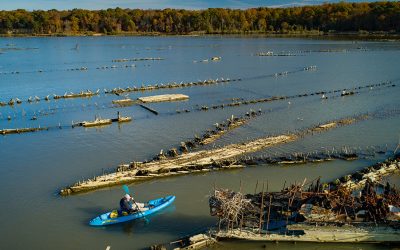 Mallows Bay-Potomac River Marine Sanctuary Celebrates Its Third Birthday!