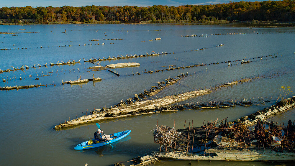 Mallows Bay-Potomac River Marine Sanctuary Celebrates Its Third Birthday!