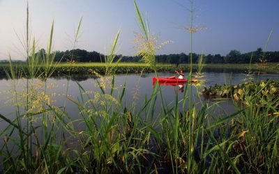 Chesapeake National Recreation Area Proposal