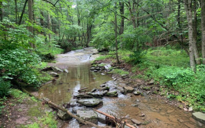 Protected Lands in and around the Watershed