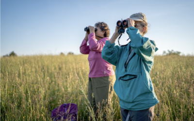 Land Conservation is For the Birds!