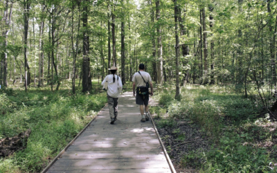 Preserving Harmo﻿ny With Development: The Tale of Leopold’s Preserve